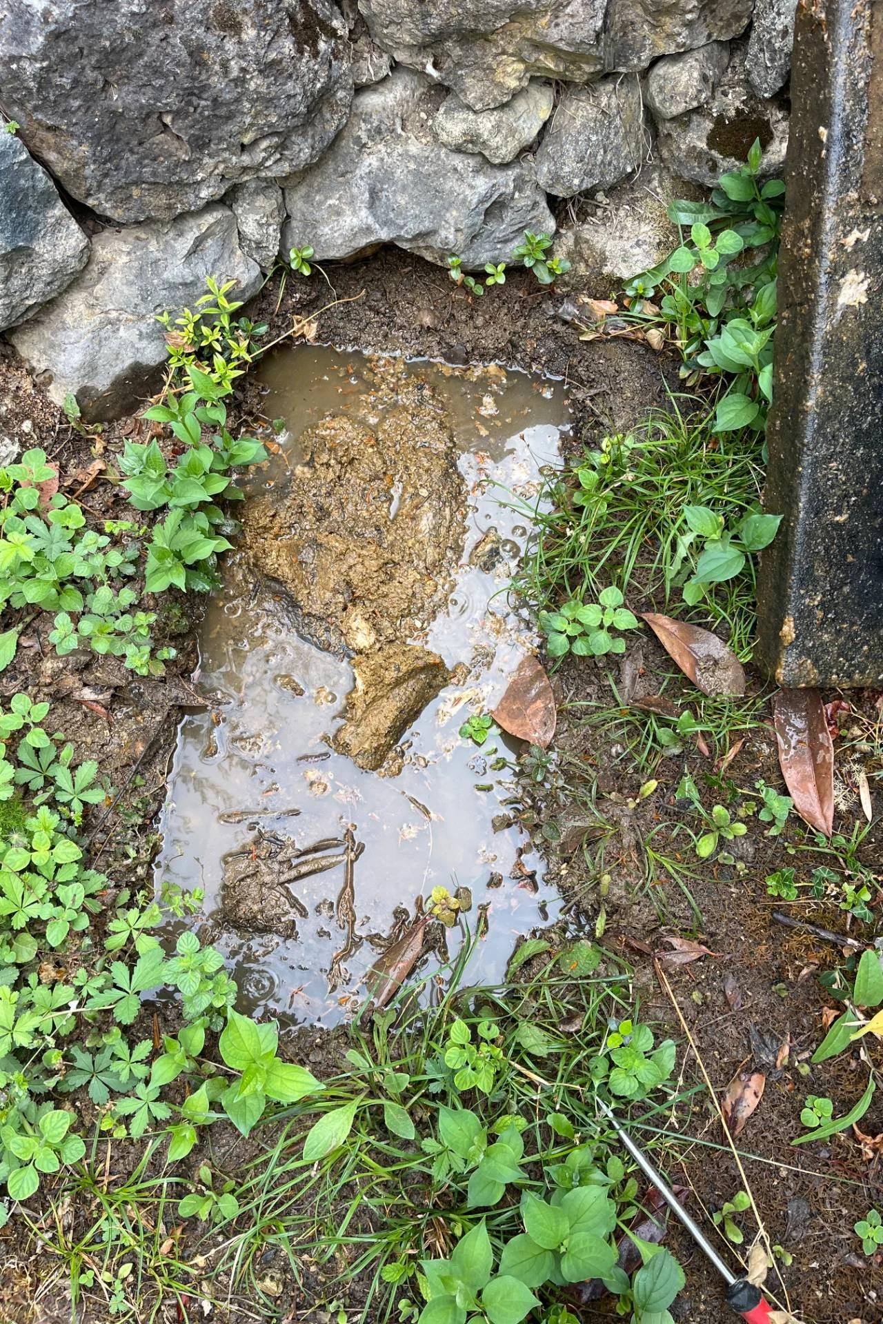 Extraction de racines et inspection vidéo d'une canalisation à Callian