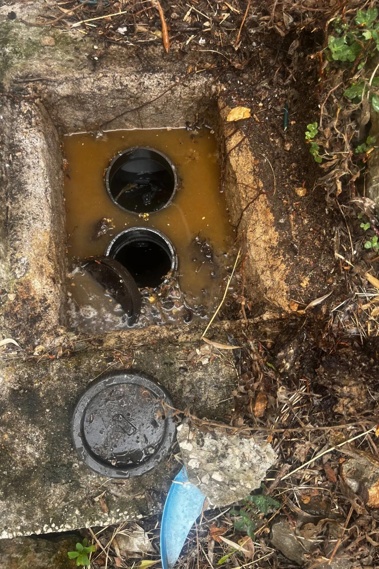 Débouchage d'une canalisation à La Valette-du-Var : racine trouvée à moins de 30 cm du sipho...
