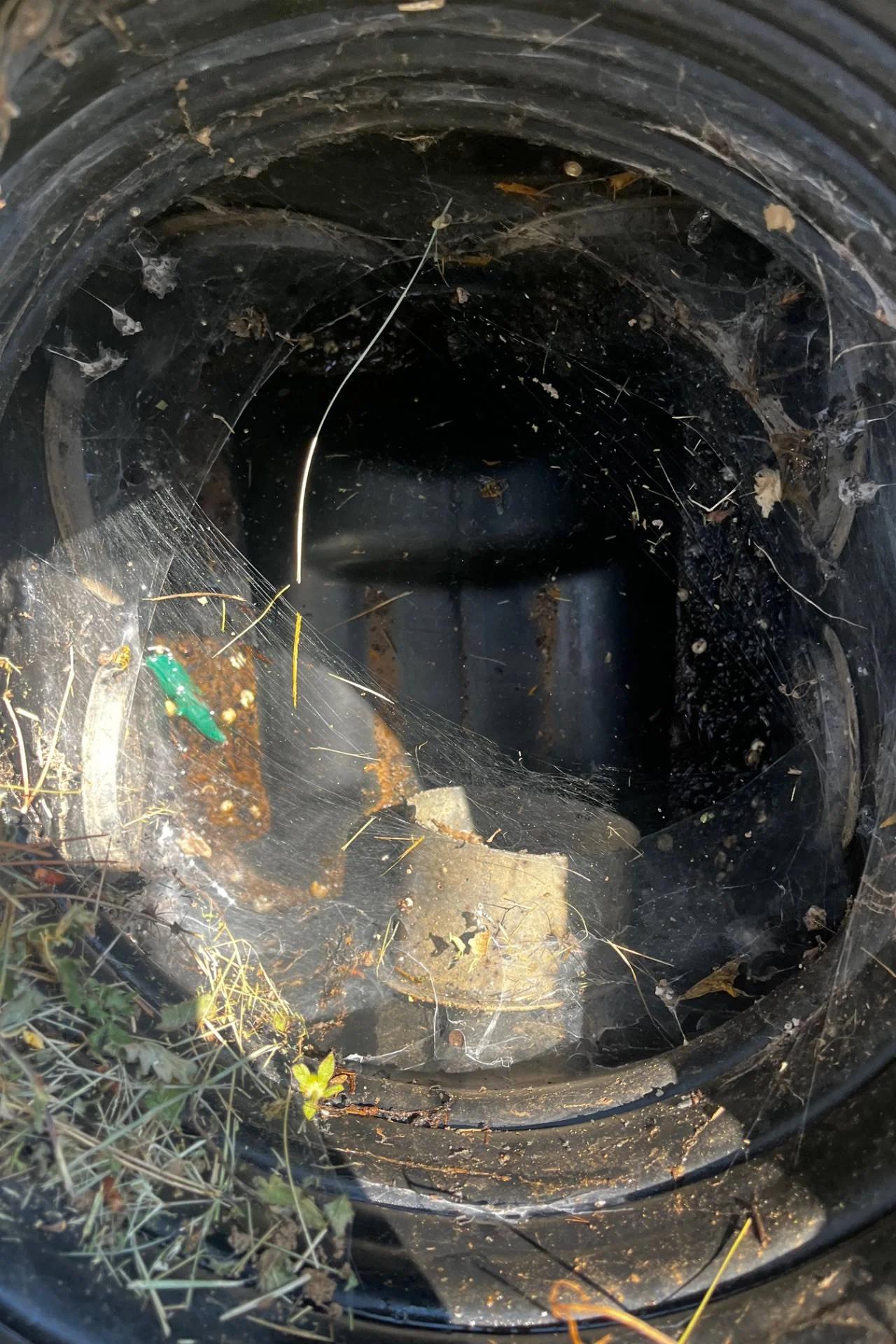 Remise en état de la pente entre fosse septique et drainage à Rocbaron