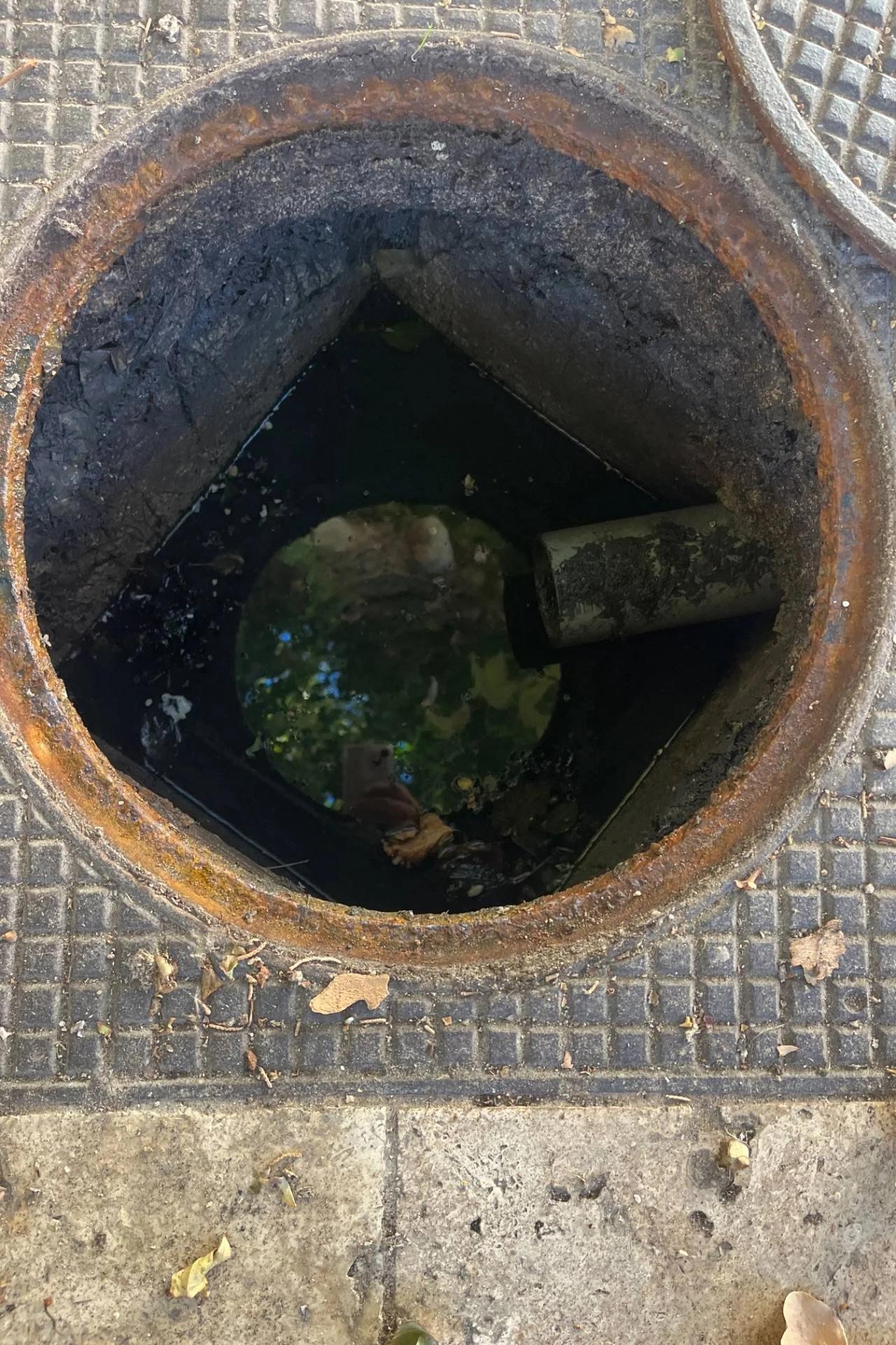 Débouchage haute pression du collecteur principal vers le tout-à-l'égout à Saint-Cyr-sur-Mer