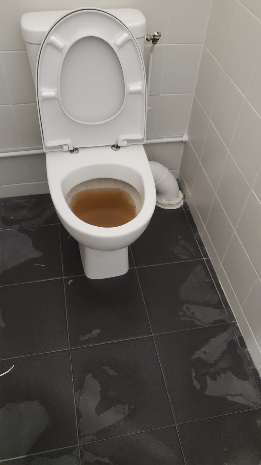 Avant: WC complètement obstrué, eau stagnante