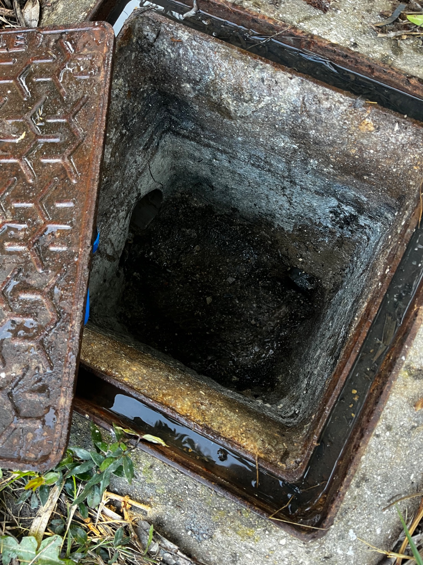 Débouchage réseau jardin avec inspection caméra à Cuers - après