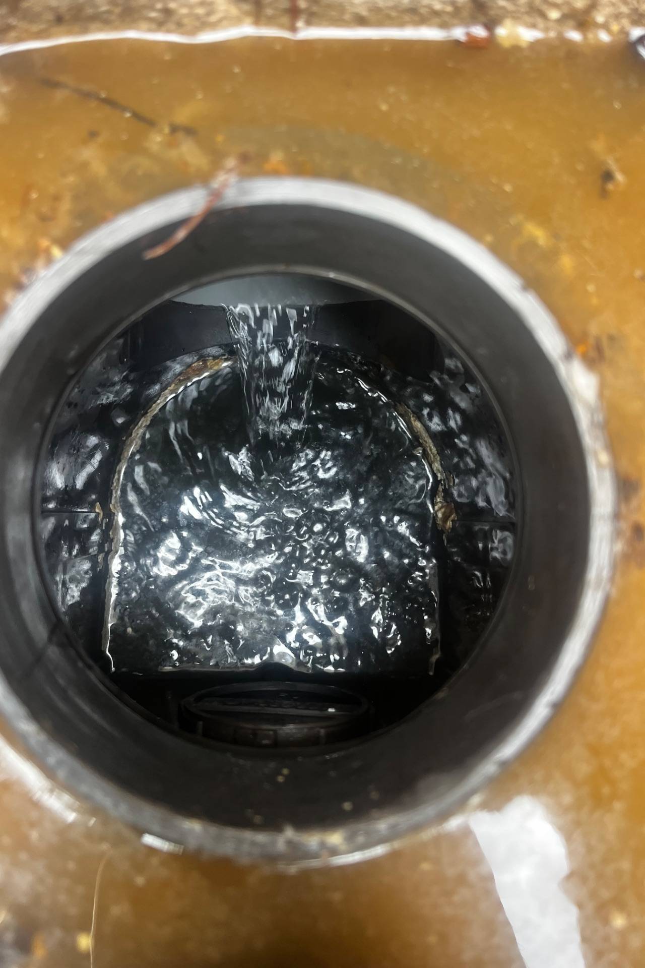 Après : Débouchage d'une canalisation à La Valette-du-Var : racine trouvée à moins de 30 cm du sipho...