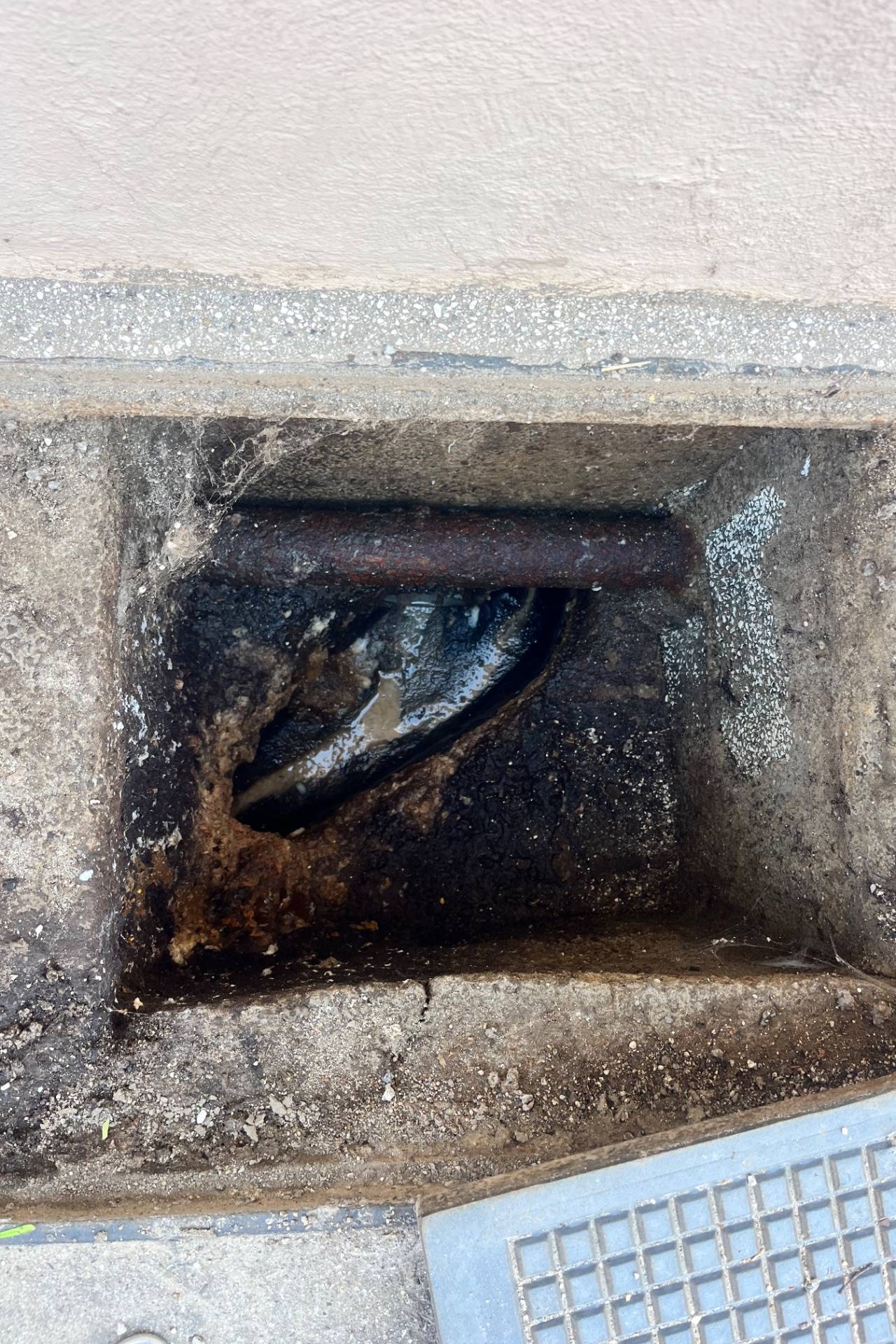 Curage canalisation à Toulon — avant intervention
