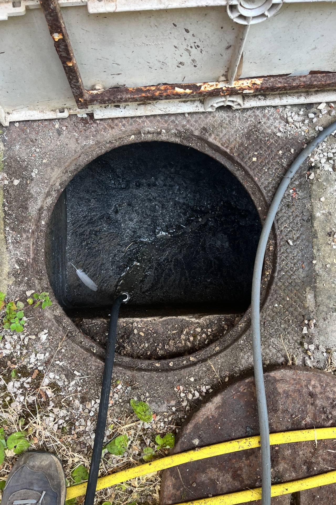 Avant : Débouchage d'une canalisation de cuisine et lavoir à Six-Fours-les-Plages envahie par les ra...